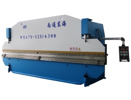 WE67Y-125/6300 Hydraulic Press Brake